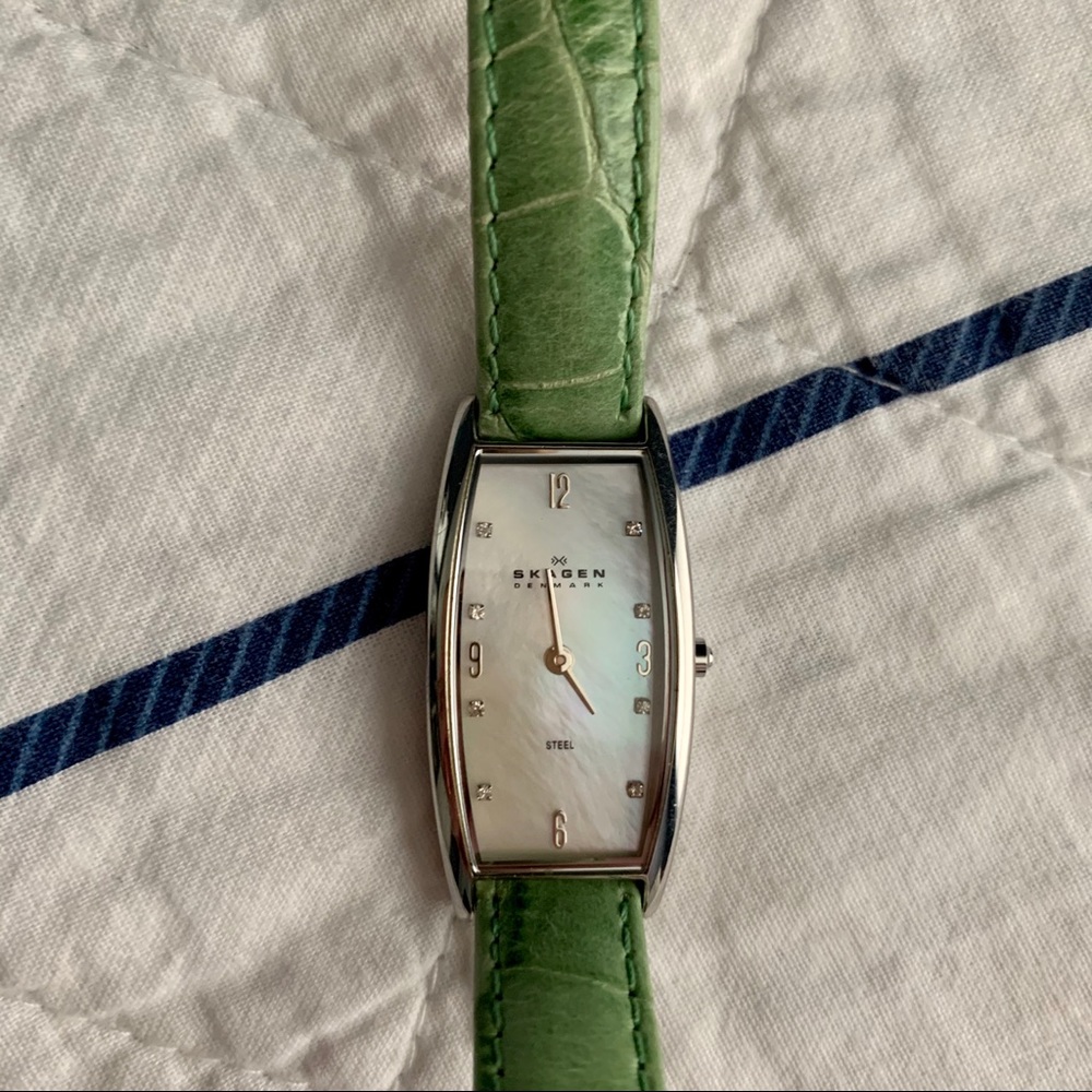 ✨Skagen Denmark Wrist Watch
